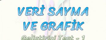 VERİ SAYMA VE GRAFİK / GELİŞTİRİCİ TEST – 1