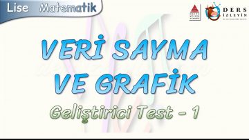 VERİ SAYMA VE GRAFİK / GELİŞTİRİCİ TEST – 1
