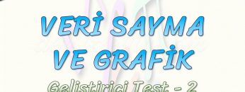 VERİ SAYMA VE GRAFİK / GELİŞTİRİCİ TEST – 2