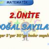 2şer 2şer 20ye KADAR SAYALIM