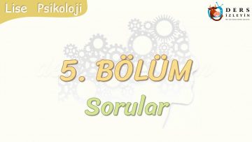 5. BÖLÜM / SORULAR