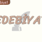 EDEBİYz