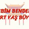 ABİM BENDEN DÖRT YAŞ BÜYÜK (ÇİNCE) 85. DERS