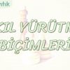 AKIL YÜRÜTME BİÇİMLERİ