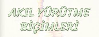 AKIL YÜRÜTME BİÇİMLERİ