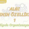 ALGININ ÖZELLİKLERİ – 1 / ALGIDA ORGANİZASYON
