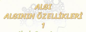 ALGININ ÖZELLİKLERİ – 1 / ALGIDA ORGANİZASYON