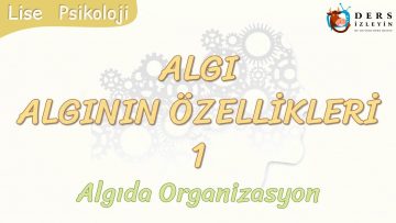 ALGININ ÖZELLİKLERİ – 1 / ALGIDA ORGANİZASYON