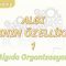 ALGININ ÖZELLİKLERİ – 1 / ALGIDA ORGANİZASYON