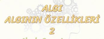 ALGININ ÖZELLİKLERİ – 2 / ALGIDA ORGANİZASYON