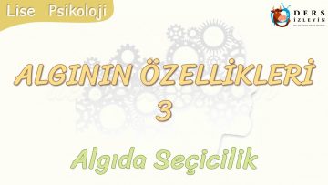 ALGININ ÖZELLİKLERİ – 3 / ALGIDA SEÇİCİLİK
