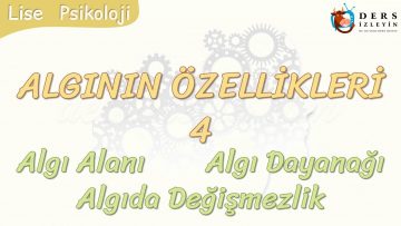 ALGININ ÖZELLİKLERİ – 4 / ALGI ALANI – ALGI DAYANAĞI – ALGIDA DEĞİŞMEZLİK
