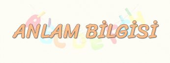 ANLAM BİLGİSİ
