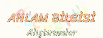 ANLAM BİLGİSİ – ALIŞTIRMALAR
