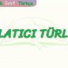 ANLATICI TÜRLERİ
