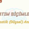 ANLATIM BİÇİMLERİ – 9 / FANTASTİK ANLATIM
