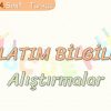 ANLATIM BİLGİLERİ / ALIŞTIRMALAR