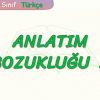 ANLATIM BOZUKLUĞU – 2