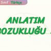 ANLATIM BOZUKLUĞU – 3