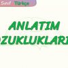 ANLATIM BOZUKLUKLARI – 2