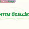 ANLATIM ÖZELLİKLERİ