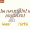 ANONİM HALK ŞİİRİ NAZIM BİÇİMLERİ / MANİ – TÜRKÜ