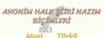 ANONİM HALK ŞİİRİ NAZIM BİÇİMLERİ / MANİ – TÜRKÜ