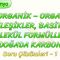 ANORGANİK, ORGANİK BİLEŞİKLER – BASİT, MOLEKÜL FORMÜLLERİ –   DOĞADA KARBON / SORU ÇÖZÜMLERİ -1