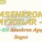 ASENKRON SAYICILAR – 3 / 3 BİT ASENKRON AŞAĞI SAYICI