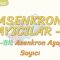 ASENKRON SAYICILAR – 4 / 4 BİT ASENKRON AŞAĞI SAYICI