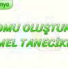 ATOMU OLUŞTURAN TEMEL TANECİKLER