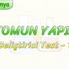 ATOMUN YAPISI / GELİŞTİRİCİ TEST – 1
