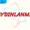 AYDINLANMA