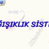 BAĞIŞIKLIK SİSTEMİ