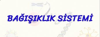 BAĞIŞIKLIK SİSTEMİ