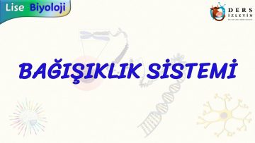 BAĞIŞIKLIK SİSTEMİ