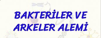 BAKTERİLER VE ARKELER ALEMİ