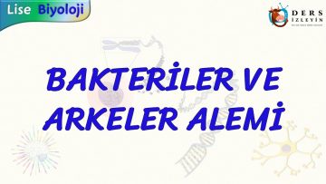 BAKTERİLER VE ARKELER ALEMİ