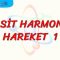 BASİT HARMONİK HAREKET – 1