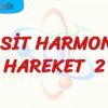 BASİT HARMONİK HAREKET – 2