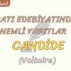 BATI EDEBİYATINDA ÖNEMLİ YAPITLAR – 1