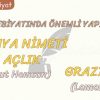 BATI EDEBİYATINDA ÖNEMLİ YAPITLAR – 17