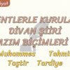 BENTLERLE KURULAN DİVAN ŞİİRİ NAZIM BİÇİMLERİ – 2 / MUHAMMES – TAHMİS – TAŞTİR – TARDİYE