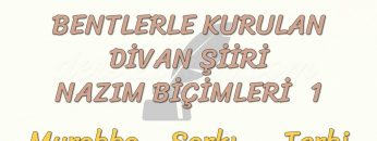BENTLERLE KURULAN DİVAN ŞİİRİ NAZIM BİÇİMLERİ – 1 / MURABBA – ŞARKI – TERBİ