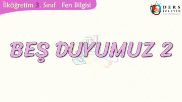 BEŞ DUYUMUZ-2
