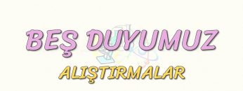 BEŞ DUYUMUZ-ALIŞTIRMALAR