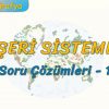 BEŞERİ SİSTEMLER / SORU ÇÖZÜMLERİ – 1 (AYT)