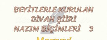 BEYİTLERLE KURULAN DİVAN ŞİİRİ NAZIM BİÇİMLERİ – 3 / MESNEVİ