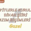 BEYİTLERLE KURULAN DİVAN ŞİİRİ NAZIM BİÇİMLERİ – 1 / GAZEL