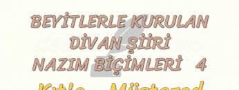 BEYİTLERLE KURULAN DİVAN ŞİİRİ NAZIM BİÇİMLERİ – 4 / KITA – MÜSTEZAD